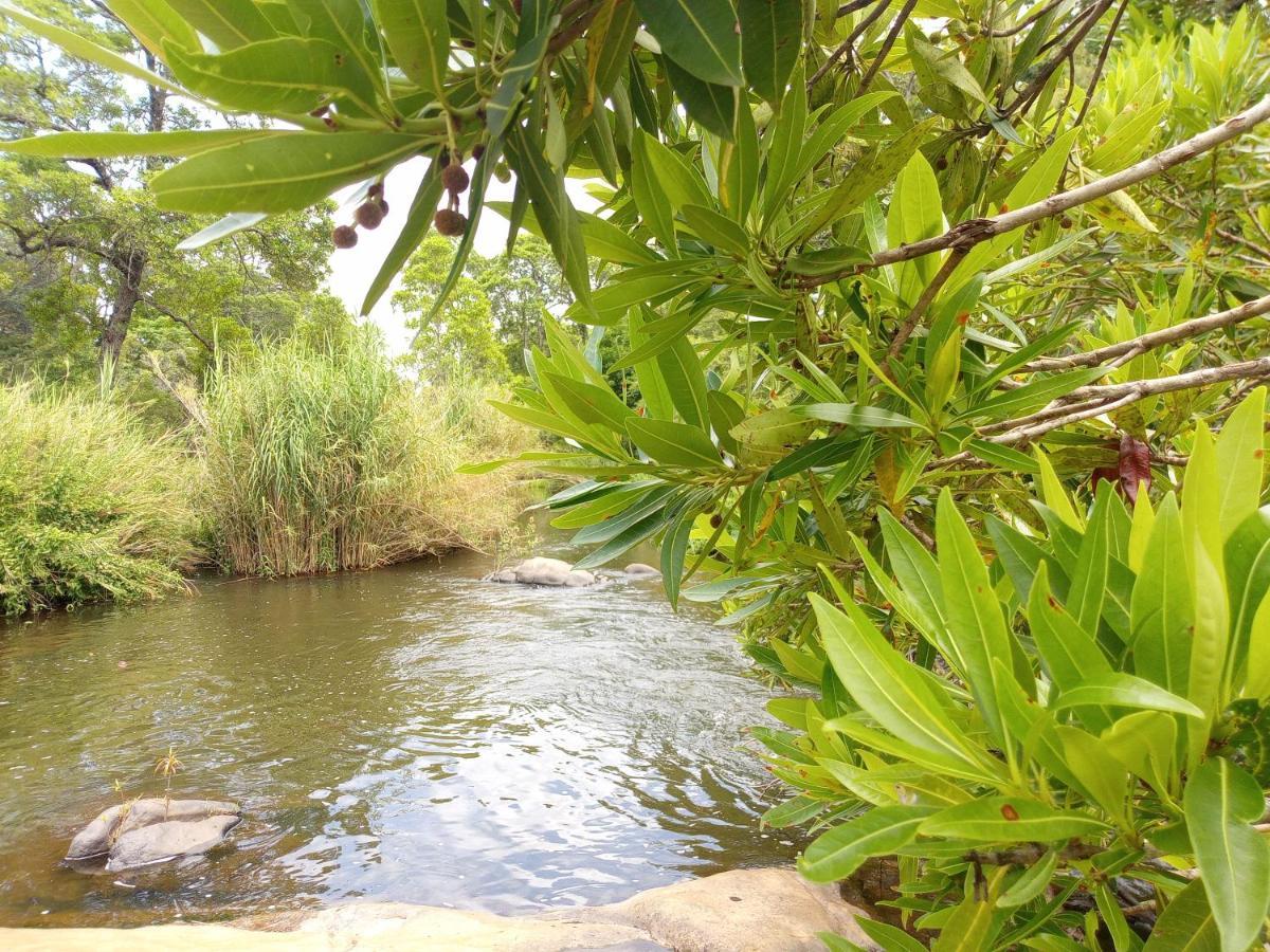 Blyde River Cabins Hoedspruit Zewnętrze zdjęcie