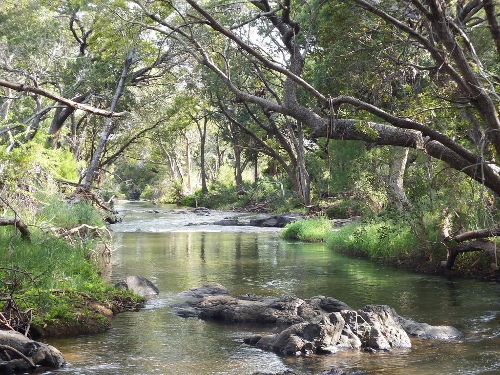 Blyde River Cabins Hoedspruit Zewnętrze zdjęcie
